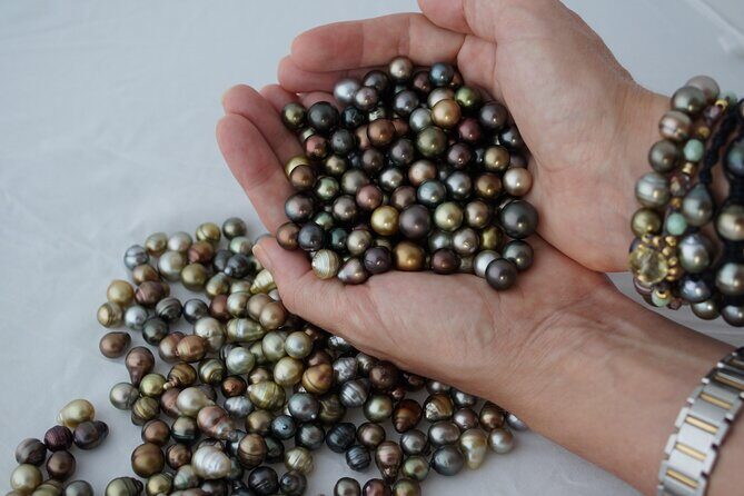 Civa Fiji Pearls Boutique Pearl Farm Tour Experience - Key Points