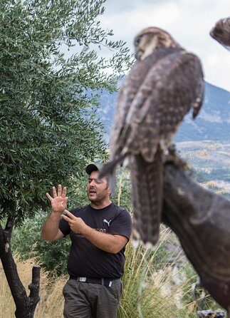 CIVITA EXPERIENCE Borgo Gole Mountain and ... RAPACI del Pollino - Final Thoughts: Is this Tour for You?