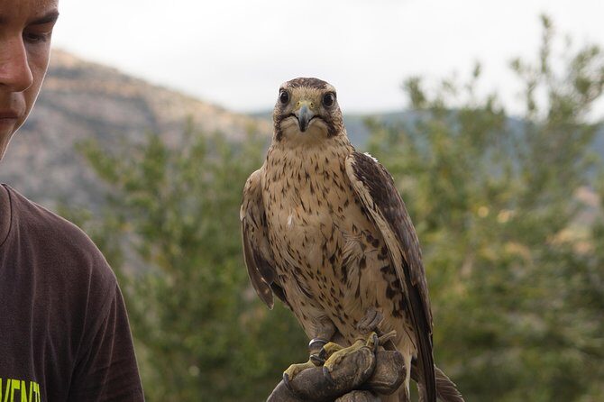 CIVITA EXPERIENCE Borgo Gole Mountain and ... RAPACI del Pollino - FAQ
