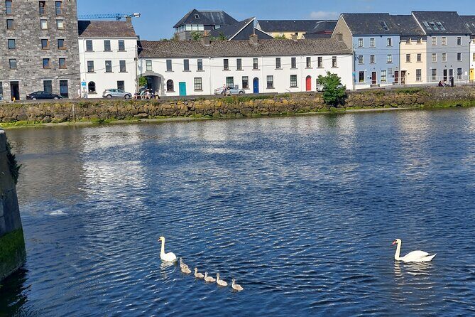 Claddagh Guided Walking Tour in Galway with Free Claddagh Ring - Is This Tour Worth It? Analyzing the Value