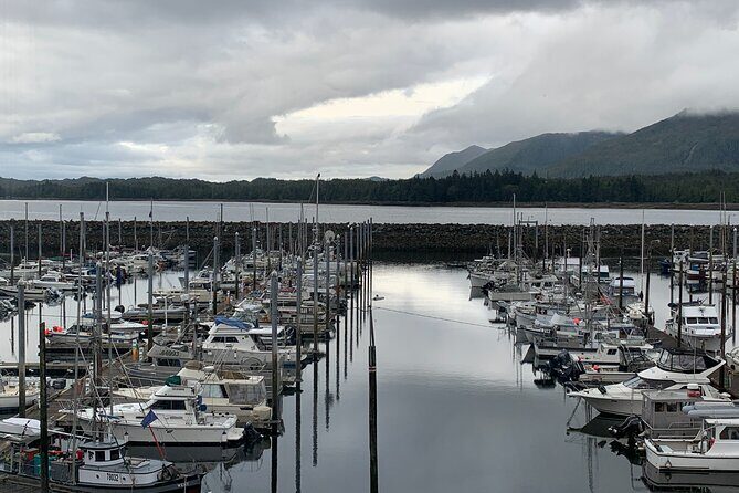 Clarke's Custom Island Tour (up to 11 guests) - Detailed Insights from Guest Reviews