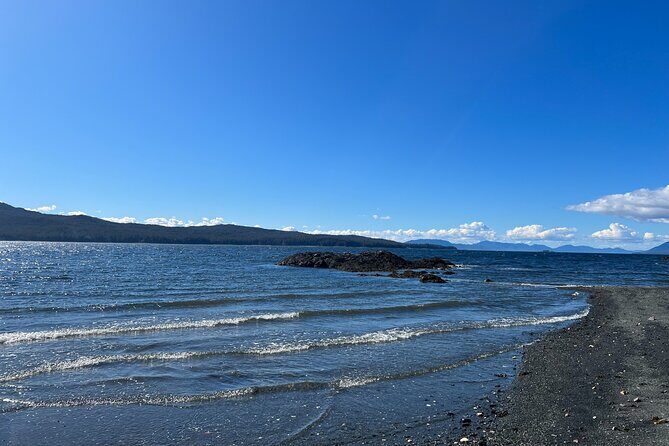 Clarke's Custom Island Tour (up to 11 guests) - Who Should Consider This Tour?