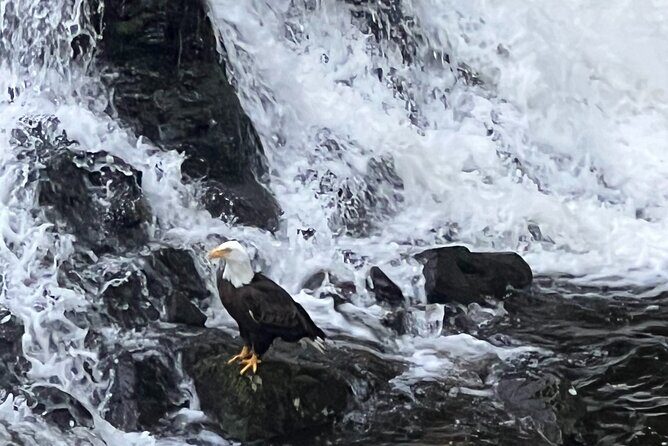 Clarke's Custom Island Tour (up to 11 guests) - FAQ