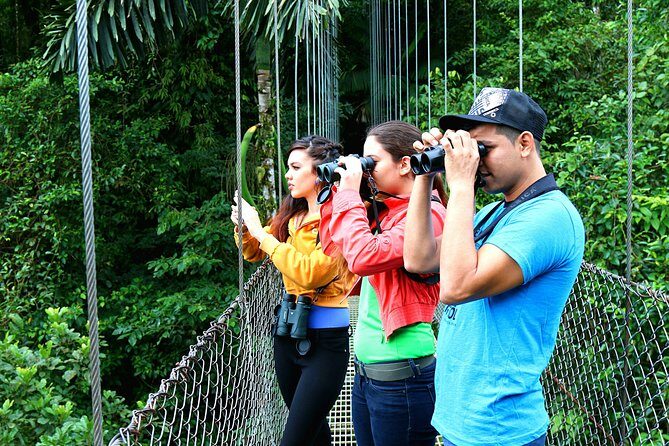Class II-III Rafting and Hanging Bridges from La Fortuna - Key Points