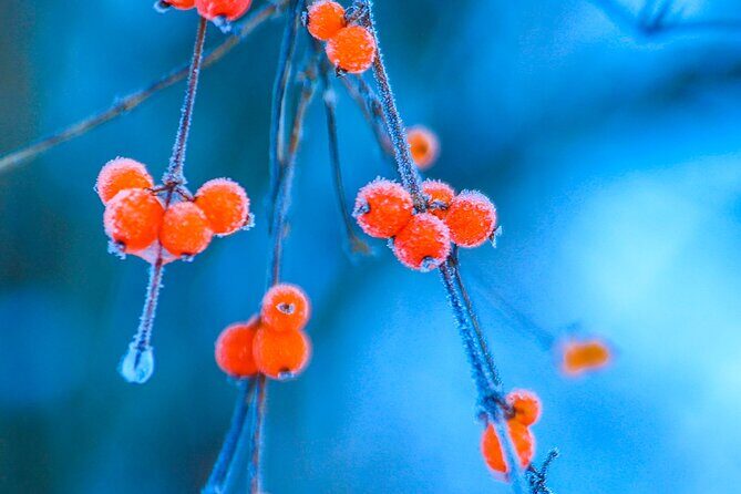 Classic 3-Day Jiuzhaigou Tour from Chengdu (Transport+Tickets) - Final Thoughts