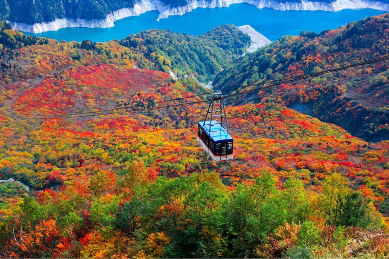 Classic 3-Day Tateyama Kurobe Tour: Tateyama Kurobe & Kamikochi & Shirakawa-go Gassho-zukuri Village & Magome-juku and Tsumago-juku & Daio Wasabi Farm (Departure from Nagoya, Includes Admission Tickets & Accommodation & Tour Leader) - Day one: waterways in Gujo Hachiman, then Shirakawa-go