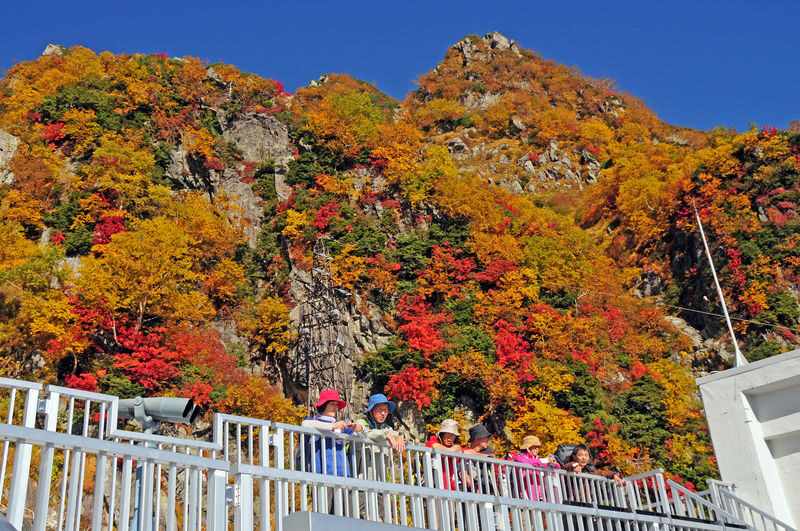 Classic 3-Day Tateyama Kurobe Tour: Tateyama Kurobe & Kamikochi & Shirakawa-go Gassho-zukuri Village & Magome-juku and Tsumago-juku & Daio Wasabi Farm (Departure from Nagoya, Includes Admission Tickets & Accommodation & Tour Leader) - Day three: Kamikochi, with Takayama as the fallback