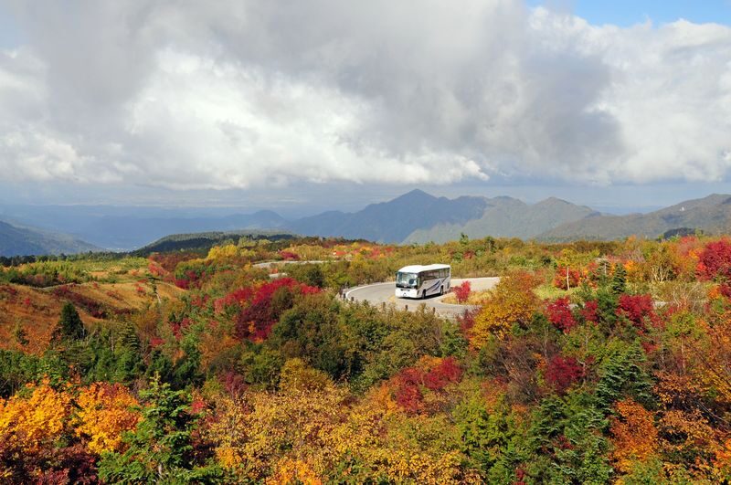 Classic 3-Day Tateyama Kurobe Tour: Tateyama Kurobe & Kamikochi & Shirakawa-go Gassho-zukuri Village & Magome-juku and Tsumago-juku & Daio Wasabi Farm (Departure from Nagoya, Includes Admission Tickets & Accommodation & Tour Leader) - What the price includes, and what it doesn’t
