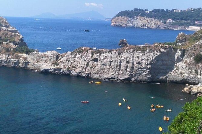 Classic Boat Tour of Naples Bay - A Detailed Look at the Classic Boat Tour of Naples Bay