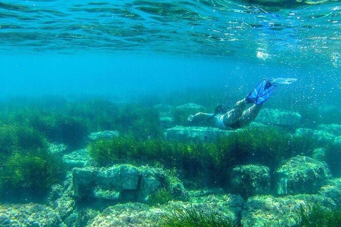 Classic Boat Tour of Naples Bay - Key Points