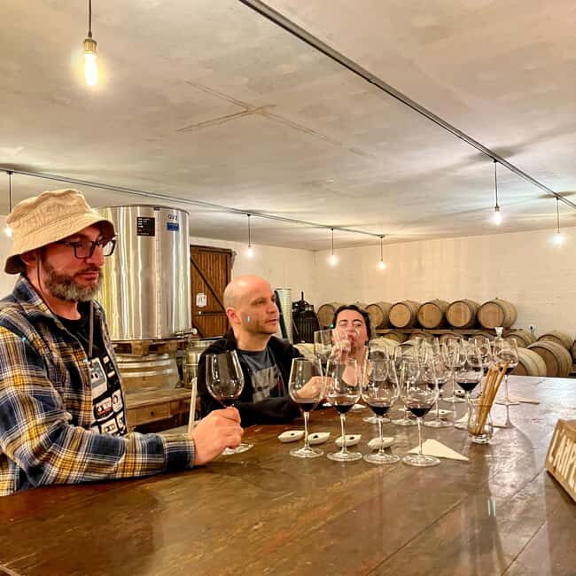 Classic car private tour : half day Margaux & Médoc - Who Should Consider This Tour?