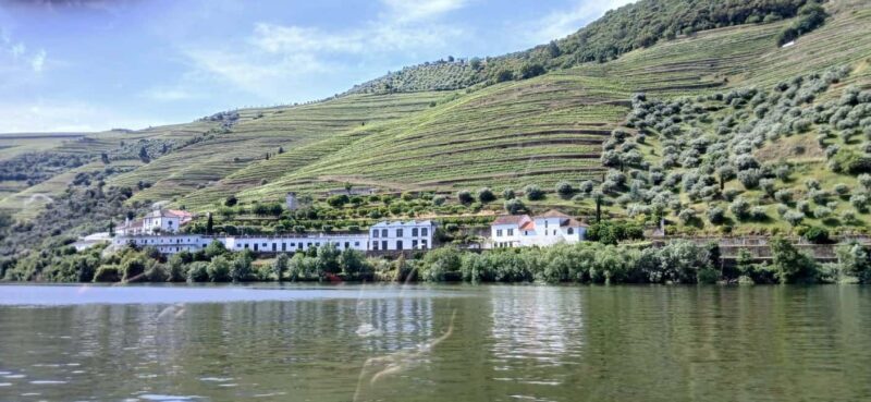 Classic Douro Tour: River, Train, Wine & Private Guide - Itinerary Breakdown: What to Expect Step-by-Step
