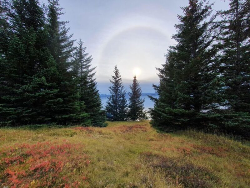 Classic Golden Circle - Full Day Private Tour from Reykjavik - The Sum Up: Who Will Love This Tour?