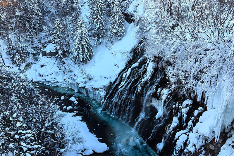 Classic Hokkaido Asahikawa & Biei Photo Spot Day Tour: Asahiyama Zoo & Shirahige Waterfall & Shirogane Blue Pond & Biei - Blue Pond: season changes the picture