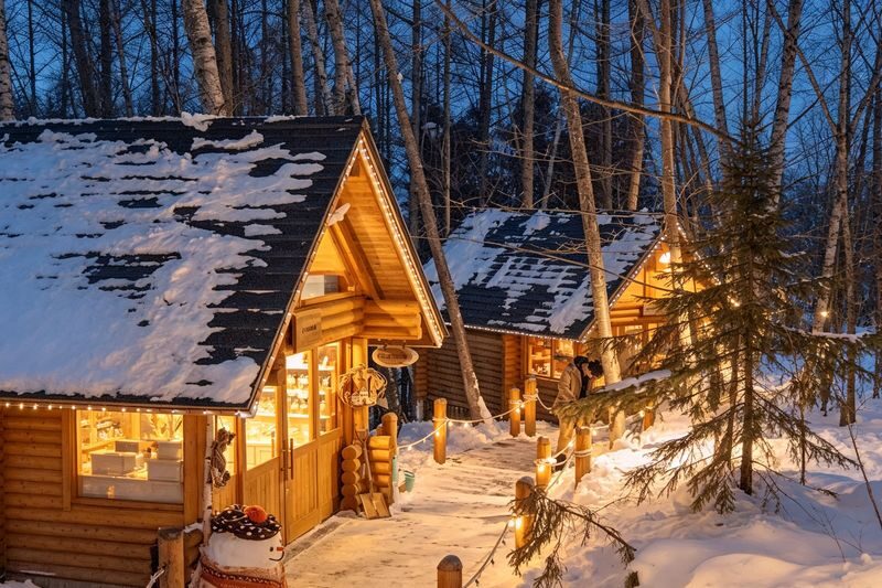 Classic Hokkaido One-Day Tour: Asahiyama Zoo & Ken & Mary Tree & Shirahige Waterfall & Biei Shirogane Blue Pond & Ningle Terrace - The Blue Pond: beautiful, quick, and weather-dependent