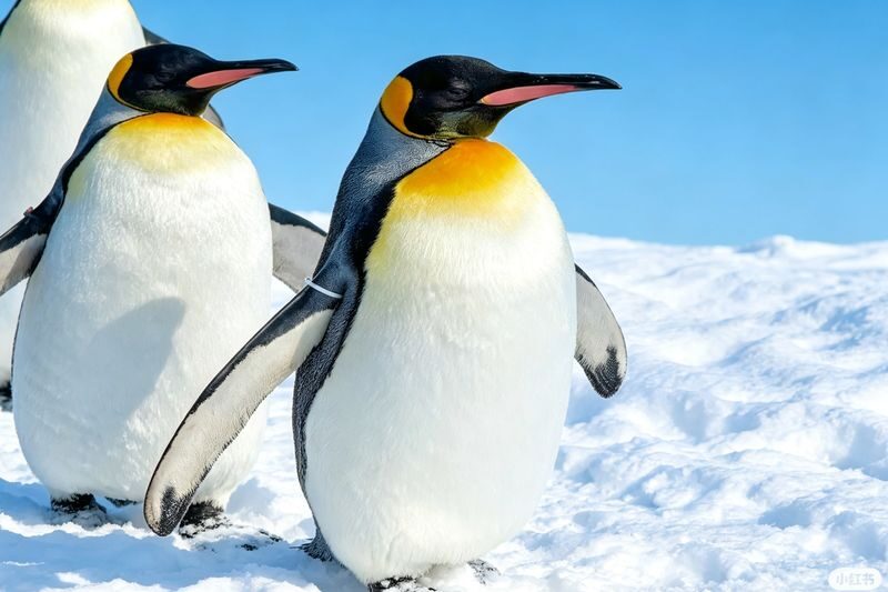 Classic Hokkaido One-Day Tour: Asahiyama Zoo & Ken & Mary Tree & Shirahige Waterfall & Biei Shirogane Blue Pond & Ningle Terrace - Ningle Terrace’s cabins and forest paths