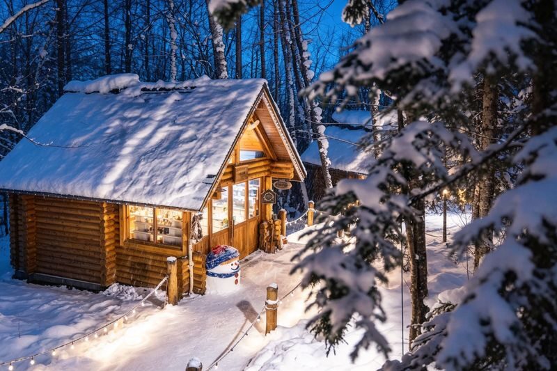 Classic Hokkaido One-Day Tour: Asahiyama Zoo & Ken & Mary Tree & Shirahige Waterfall & Biei Shirogane Blue Pond & Ningle Terrace - What the price covers, and what to plan for