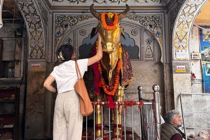 Classic Jaipur 101 Sightseeing, Food and E-Bike Tour - Key Points