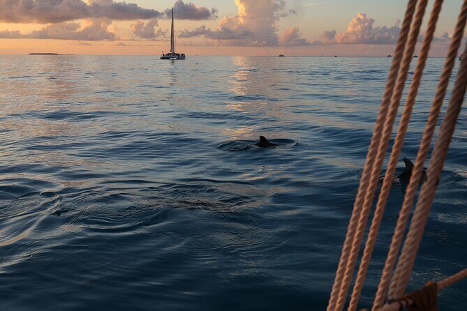Classic Key West Schooner Sunset Sail with Full Open Bar - Key Points