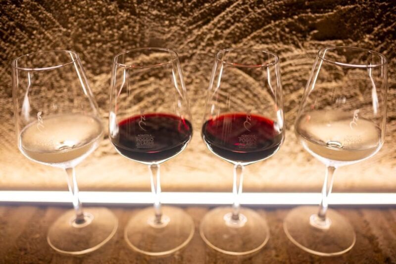 Classic: Lunch with Wine Tasting at Poggio ai Laghi Winery - FAQ