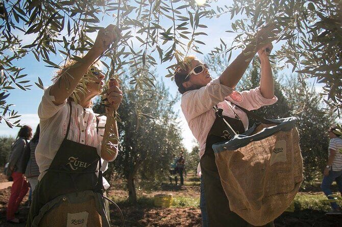 Classic Mendoza wineries with private lunch - A Deep Dive into the Mendoza Wine Tour