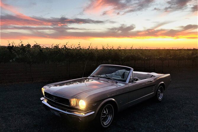 Classic Mustang Convertible Barossa Valley Half Day Private Tour For 2 - A Classic Drive Through the Heart of the Barossa Valley: Private Mustang Convertible Tour for Two