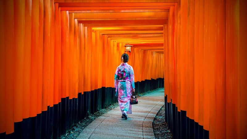 Classic Panoramic Tour: A Day Trip to Kyoto and Nara to Encounter Adorable Deer - At a glance
