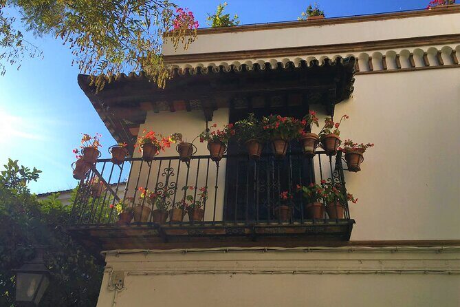 Classic Private Tour of Seville - Who Will Love This Tour?