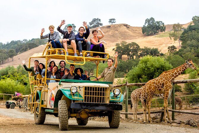 Classic Safari Adventure at Safari West - What the Reviews Say About Safari West