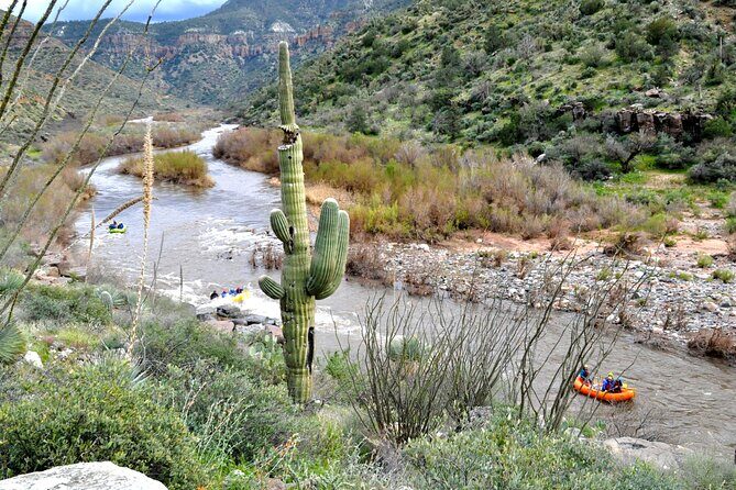 Classic Salt River Raft Trip - A Full Breakdown of the Salt River Raft Trip