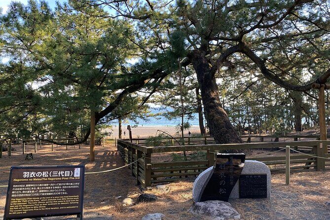 Classic Shizuoka with Mt.Fuji Viewing 1 Day Private Tour - Final Thoughts