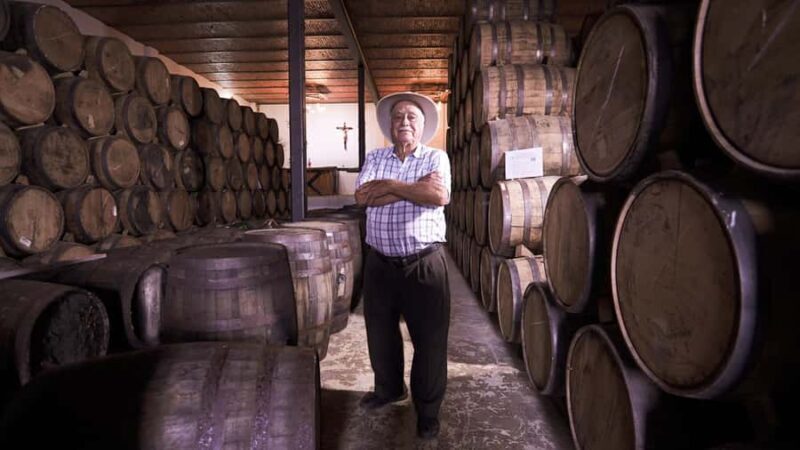 Classic Tequila Route Tour from Guadalajara and a few drinks at El Güero!!! - Why the Classic Tequila Route Tour from Guadalajara Is Worth Considering