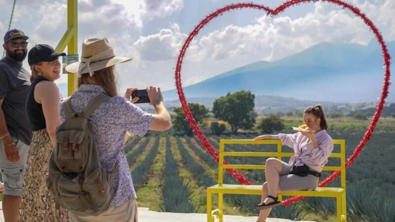 Classic Tequila Route Tour from Guadalajara and a few drinks at El Güero!!! - What Makes This Tour Stand Out?