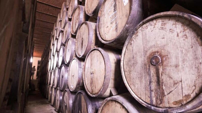 Classic Tequila Route Tour from Guadalajara and a few drinks at El Güero!!! - Final Thoughts