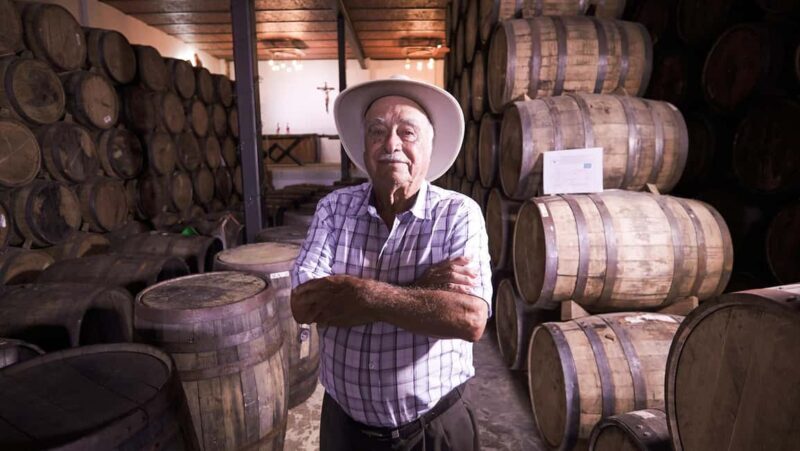 Classic Tequila Route Tour from Guadalajara and cantaritos el GÜERO!!! - Who Will Love This Tour?