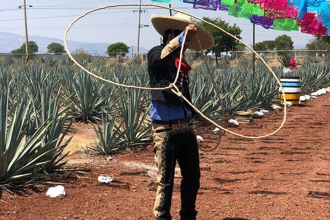 Classic Tequila Tour and CANTARITOS EL GÜERO - The Full Experience: A Deep Dive into the Tour