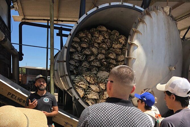 Classic Tequila Tour and CANTARITOS EL GÜERO - Who Will Love This Tour?