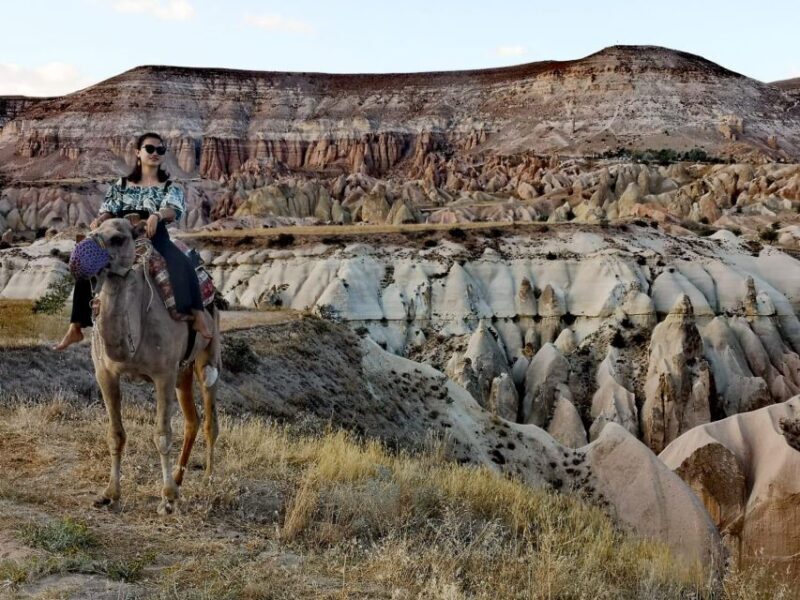 Classic (Vintage) Car & Jeep Safari & Shooting with Camels - The Sum Up: Is It Worth It?