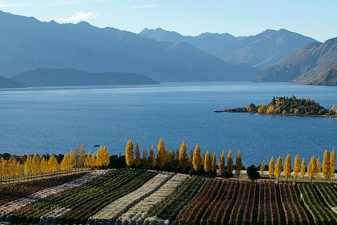 Classic Wanaka Wine Tour - Key Points