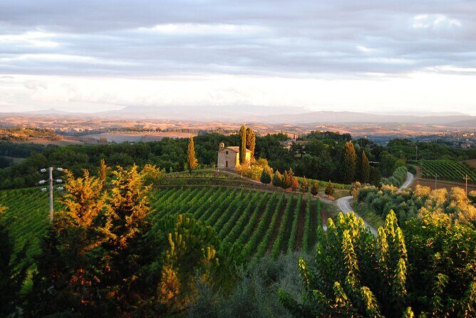 "CLASSIC" Wine Tasting and Typical Tuscan Products - Location and Meeting Point