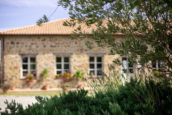 Classic Wine Tasting in Montalcino - Key Points
