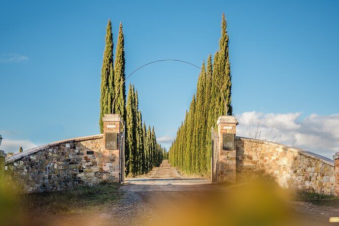 Classic Wine Tasting in Montalcino - Frequently Asked Questions
