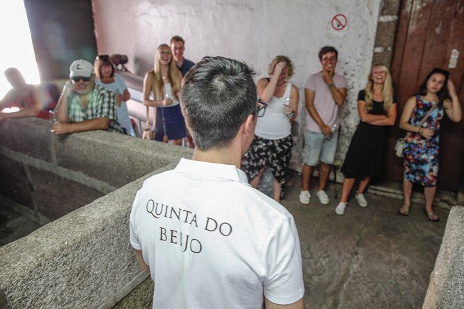 Classic Wine Tasting with GUIDED TOUR - Frequently Asked Questions