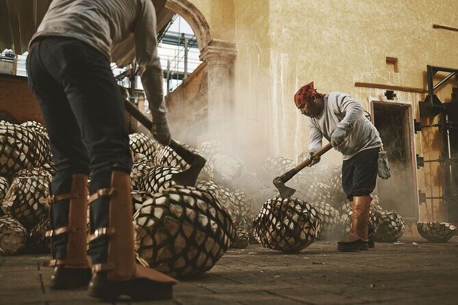 Classical Experience - An Authentic Look at Tequila Heritage in Guadalajara