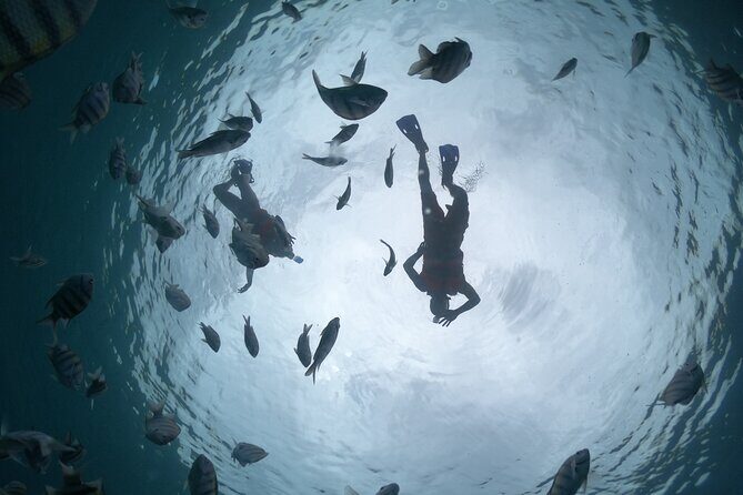 Clear Boat & Snorkel Cozumel Tour with Drinks - Key Points