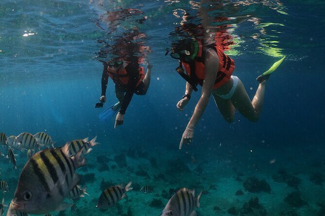 Clear Boat & Snorkel Cozumel Tour with Drinks - Who Will Love This Tour?