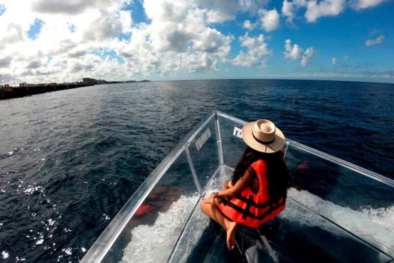 Clear Boat Tour in Cozumel - In The Sum Up