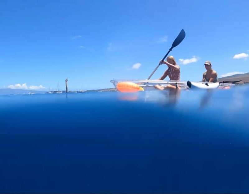 Clear Bottom Glassy Kayak Rental | Safe and Stable Kayaks - Exploring Maui’s Underwater World from a Clear Bottom Kayak