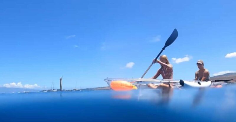 Clear Bottom Glassy Kayak Rental | Safe and Stable Kayaks - The Sum Up: Is It Worth It?