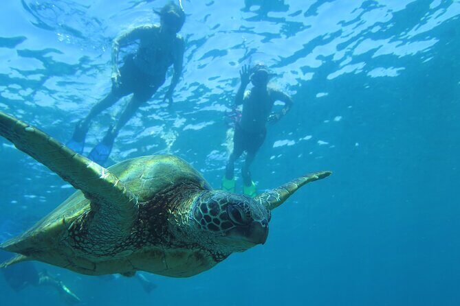 Clear Bottom Kayak and Snorkel Tour at Turtle Town, Makena - Final Thoughts: Why This Tour Is Worth Considering